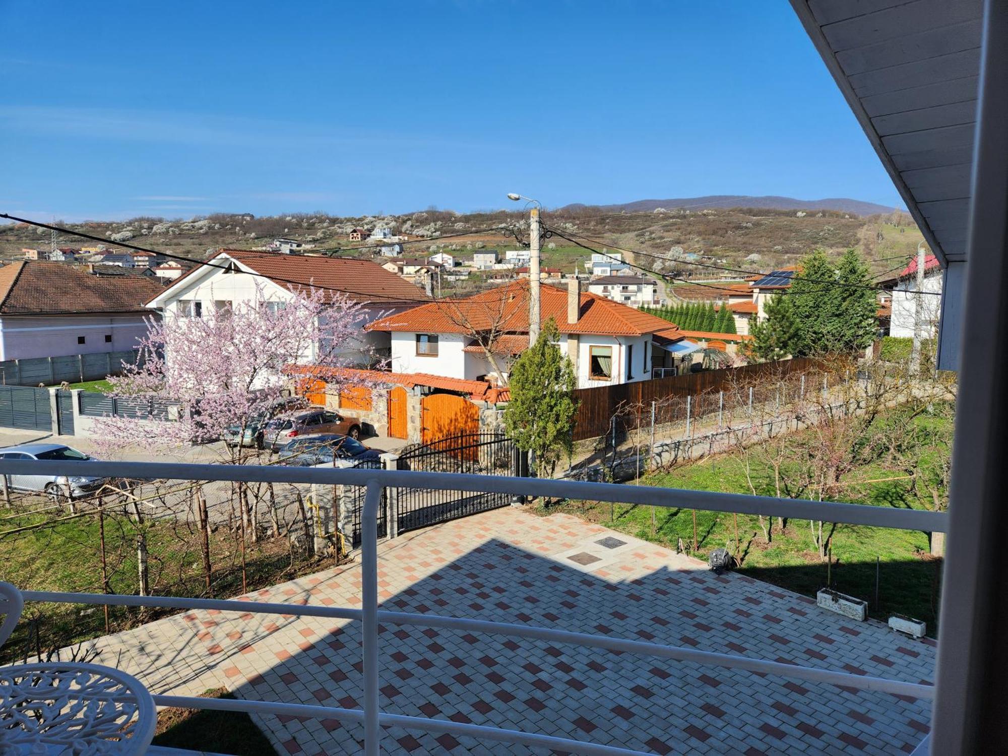 Vila Reghina Alba Iulia Exterior photo